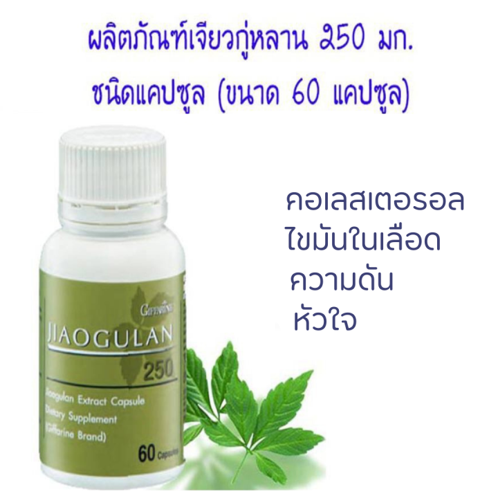 ส่งฟรี-เจียวกู่หลาน-กิฟฟารีน-เจียวกู่หลานแคปซูล-jiaogulan-giffarine-สารสกัดจากเจียวกู่หลาน-ชนิดแคปซูล