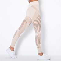 【CC】 Seamless Leggings Waist Pants Gym Sport Workout With Mesh