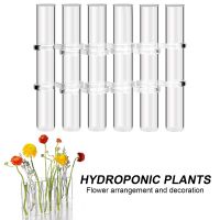 【CW】✕  Test Tube Terrarium Vase Tabletop Glass Hydroponic Propagators for Cuttings