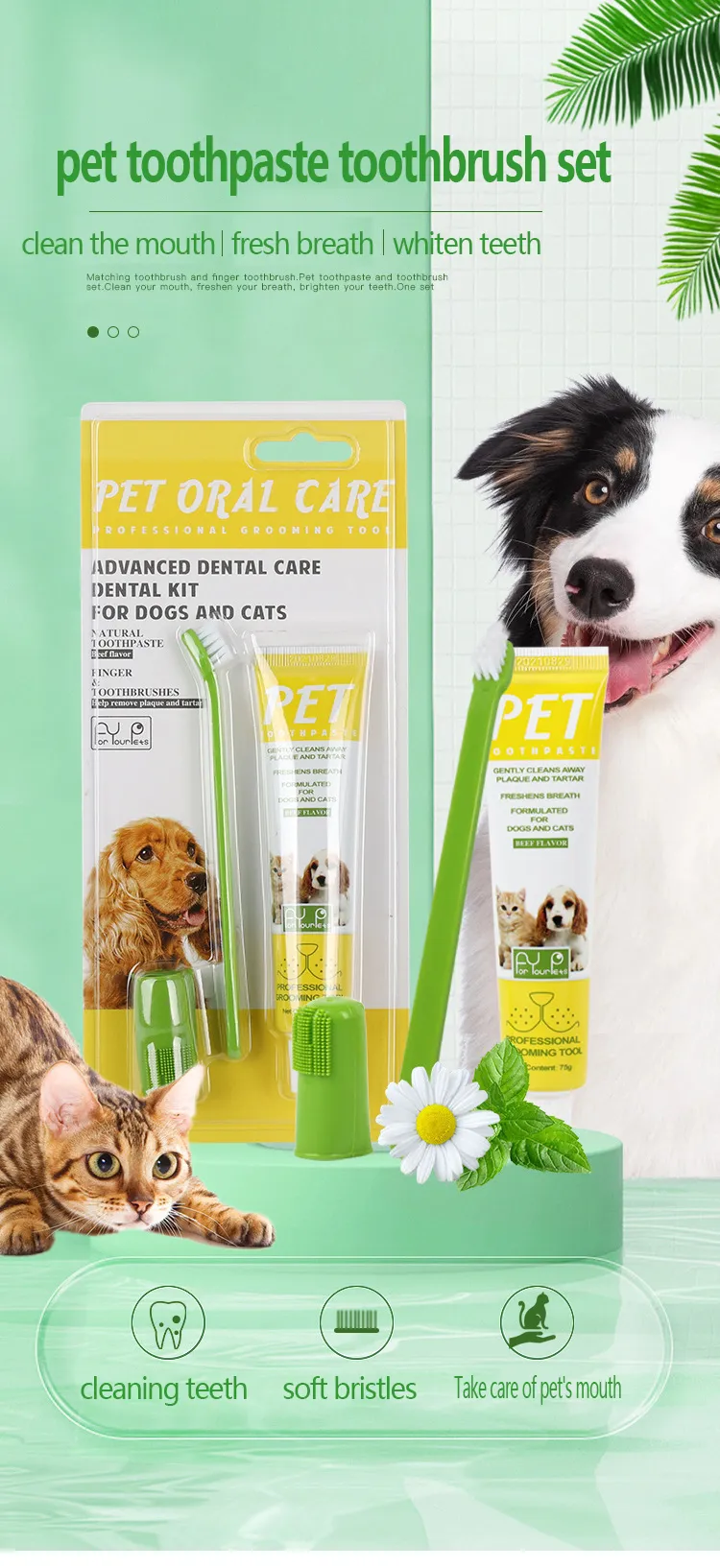 what is a safe toothpaste for dogs