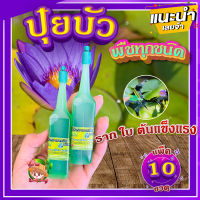 ปุ๋ยบัว (แพ็ค 10 ขวด) ? ปุ๋ยน้ำไฮโดรโปนิกส์ 38 ml. บำรุงทุกส่วน ราก ใบ ต้นแข็งแรง ปุ๋ยบัวเร่งโต ปุ๋ยไม้น้ำทุกชนิด?