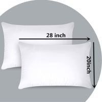 Set of 2 standard size pillow core anti-feather cloth white feather velvet pillow bed supplies hotel bedding