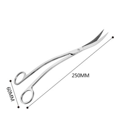 กรรไกรสแตนเลสแบบคลื่นโค้งตรงสำหรับตู้ปลาพืชน้ำที่เก็บของอุปกรณ์ทำความสะอาดสำหรับตู้ปลา