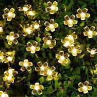 【⊕Good quality⊕】 duanya ไฟสวนพลังงานแสงอาทิตย์สายไฟ Led นางฟ้าไฟแรงสูง20/30/50/100led แต่งสวน3สีเทศกาลมาลัยการตกแต่งภายนอกบ้าน
