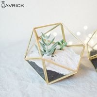 Glass Terrarium Storage Box Jewelry HolderGlass Geometric Terrarium Tabletop Succulent Plant Box Planter Holder Case