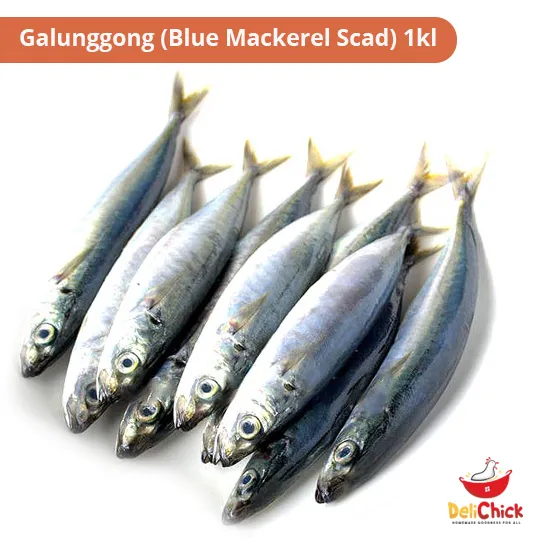 Galunggong (Blue Mackerel Scad) 1kl Lazada PH