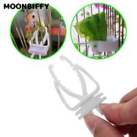 Cute Small Pet Bird Food Holder Parrot Fruits Vegetables Clip Cuttlefish Bone Feeder Device Clamp Bird Refugio Cage Accessories