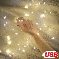 1M 5M 10M 100 LEDS Fairy Light Starry String USB Lights Fairy Micro LED Transparent Wire for Party Christmas Wedding 6 Colors Fairy Lights