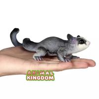 Animal Kingdom - โมเดล Sugar Gilder ชูการ์ไกลเดอร์ ขนาด 17.50 CM (จากสงขลา)