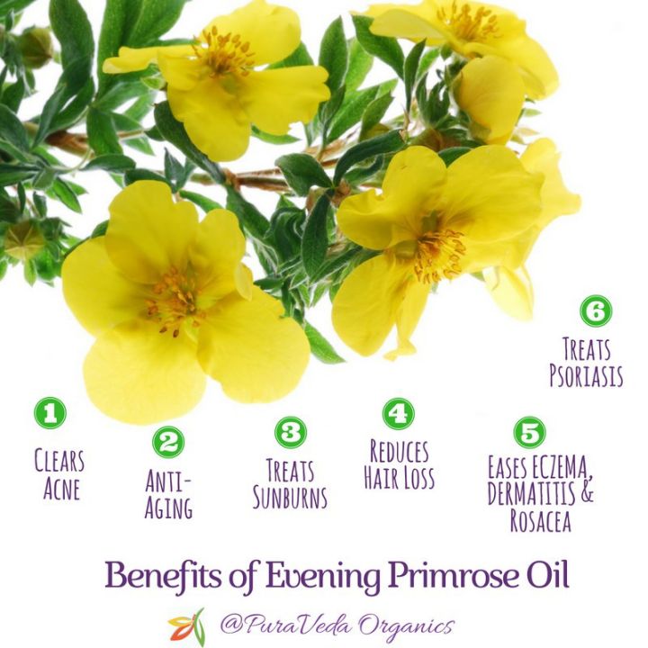 อีฟนิ่งพริมโรส-evening-primrose-oil-1000-mg-90-veggie-softgels-now-foods