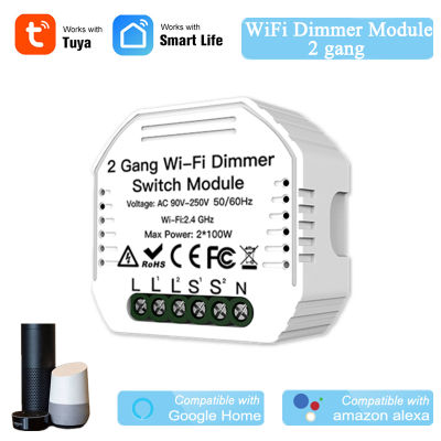 2 Gang Smart LED Dimmer Module DIY Breaker Tuya APP Wireless Control Light Dimmer Module Switch Compatible With Alexa Google