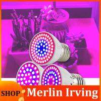 Merlin Irving Shop 220V Plant Grow Light Lamps Indoor Greenhouse Cultivo Flower Red Blue Hydro Growbox Fitolampy 36/54/72 LED