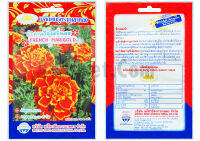 เมล็ด ดาวเรืองฝรั่งเศส (FRENCH MARIGOLD) บรรจุ 40 เมล็ด ความงอก 85% ต้้นสูง 20-25 cm. อายุออกดอก 60-65 วัน