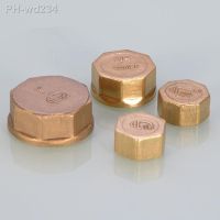 Brass Male Thread Hexagonal End Cap Pipe Hole Plug Cap Water Stop Valve Pipe Fitting Adapter Hardware Fittings Durable