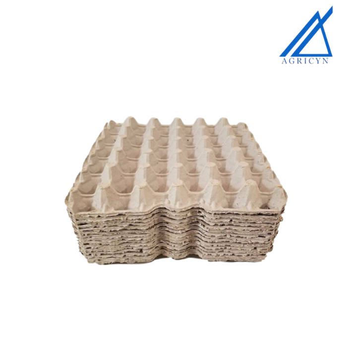 Paper Egg Tray by 30 (10 trays/bundle) Lazada PH