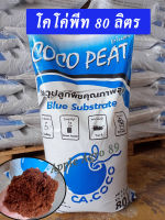 Coco Peat Blue Substrate โคโค่พีทบลู ขนาด 80 ลิตร โคโค่พีท โคโค่พลัส ดินเพาะปลูก ดินเพาะเมล็ด ดินเพาะกล้า ดินเพาะปลูกผัก