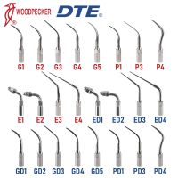 เครื่องไล่ระดับสีอัลตราโซนิคสำหรับคุณภาพสูงสแตนเลส EMS Woodpecker DTE France SATELEC NSK Baolai SKL เครื่องขูดหินปูนทันตกรรมส่วนลดวันหยุด