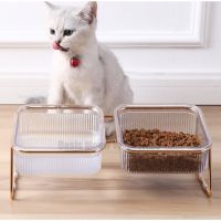 Cat Double Bowl New With Stand And Mat Pet Kitten Puppy Transparent Food Feeding Dish Metal Elevated Water Feeder Dog Supplies