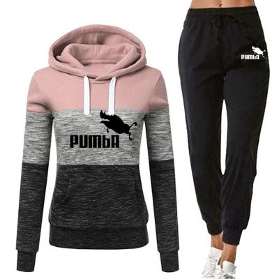 Women 2Piece Set 2022 Spring Autumn Running Tracksuit Womens Hooded Sweatshirt Casual Wear Outfits Woman Jogging Sport Suit