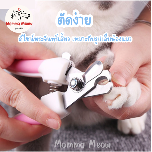 ชุดกรรไกรตัดเล็บสัตว์เลี้ยง-ที่ตะไบ-ดีไซน์หูกระต่าย-กรรไกรตัดเล็บสุนัข-pet-nail-clipper-ที่ตัดเล็บสุนัข-กรรไกรตัดเล็บแมว