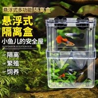 ✿¤ Fry breeding box guppy fish hatching tank transparent isolation juvenile fighting large