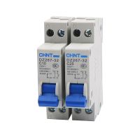 1P N 10A 16A 20A 25A 32A Household Mini Circuit Breaker 2in 2out Miniature Air Switch 1.5 6mm² Copper Cable Din Rail Mounting