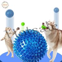 【hot sale】 ﹊✽ B32 AHOUR Small Dog Balls Squeaky Interactive Toys Spikey Balls For Golden Retriever Large Dogs Colorful Puppy Chew Toys Dog Toys Cleans Teeth Rubber Hedgehog Ball/Multicolor