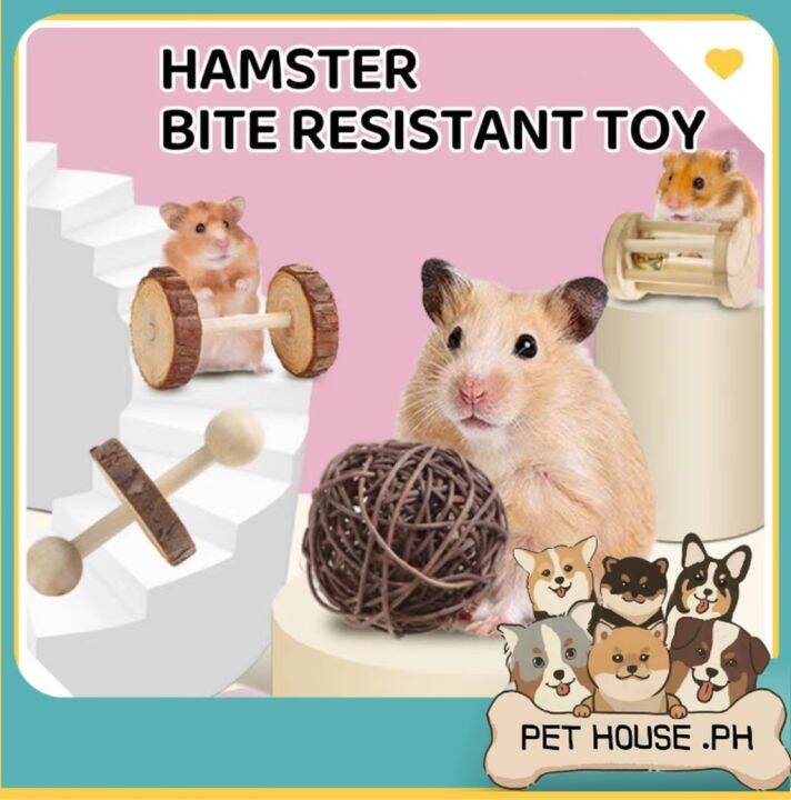 Hamsters Wood Toy Natural Wood Chew Toys Pet Bite Resistant Toys For Small Animals Lazada PH