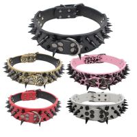 Wolf Teeth Pointed Nail Pet Collar Colorful Rivet Dog Collar Large and Medium Dog Traction Rope Iron Chain