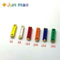 【DT】hot！ 10pcs East European automotive cylindrical fuse horizontal 5A8A16A20A25A30A