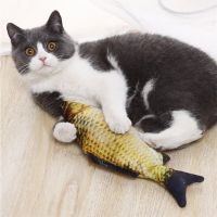Electronic floppy fish pet cat toy simulation moving Fish cat Toy for Cat Chewing Playing Biting Supplies USB Charging Toys