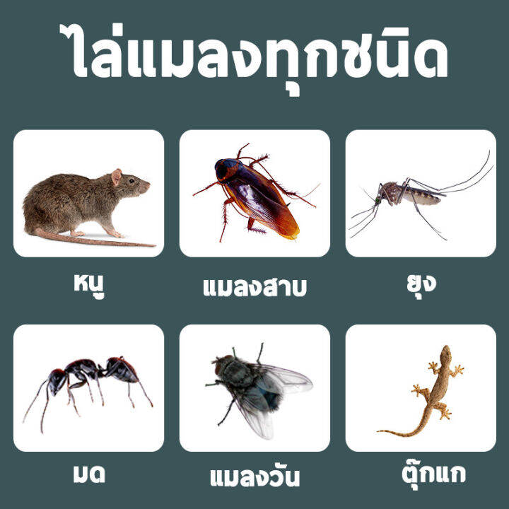 นำเข้าจากญี่ปุ่น-ซื้อครั้งเดียว-ที่บ้านไม่มีแมลง10ปี-กําจัดแมลงสาบ-ไล่มด-หมัด-ยุง-แมลงวัน-ตุ๊กแก-หนู-และแมลงอื่นๆอย่างมีประสิทธิภาพ-ฆ่าแมลงสาบ-ยากำจัดแมลงสาบ-ไล่แมลงสาบ-ที่ดักแมลงสาบ-บ้านแมลงสาบ-ไล่แม