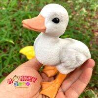 Monkey Toys - โมเดลสัตว์ Ducking ลูกเป็ด ขาว ขนาด 13.00 CM (จากหาดใหญ่)