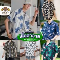 โค้ด MINJUL1 ลด 15 l GIANTSHOP เสื้อฮาวาย เสื้อเชิ้ต hawaii หลายสไตล์ 100 แบบ SEASON 1