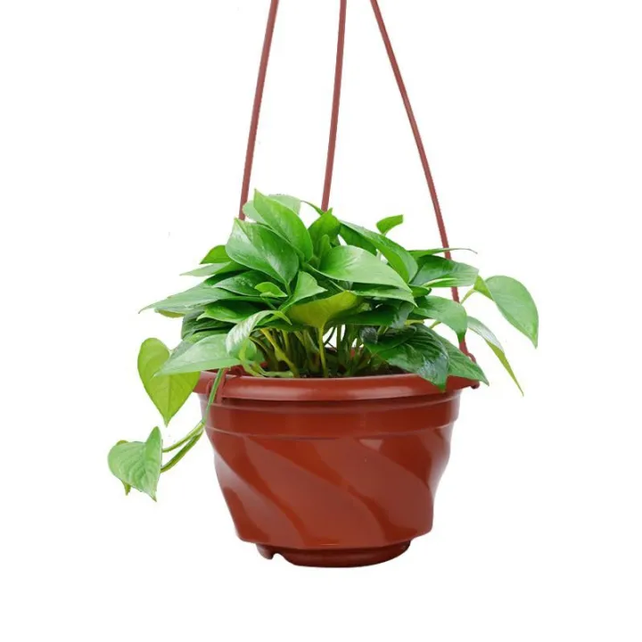 Plastic Hanging Flower Pots | Lazada PH