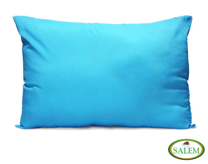 Salem Deluxe Pillows Colored 20”x30” Lazada PH