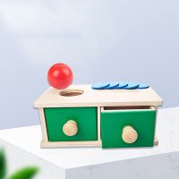 【CC】✤✠☸  Wood Education Coin 2-in-1 Drawer Object Permanence for Children Hand-eye Coordination Teache