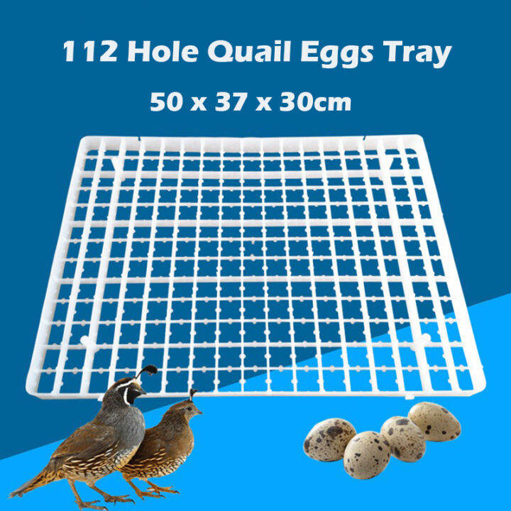 112 Hole Plastic Eggs Tray Industrial Incubator Hatching Egg Tray for