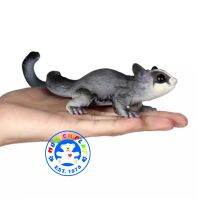 Munich Play - โมเดลสัตว์ Sugar Glider ชูการ์ไกลเดอร์ ขนาด 17.50 CM (จากหาดใหญ่)