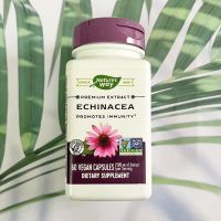 สมุนไพรเอ็กไคนาเซียสกัด Echinacea Standardized 60 Veg. Capsules (Natures Way®)