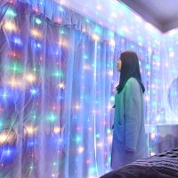 [Qingxin fabrics] ไฟสาย LED เทพนิยายตกแต่งคริสต์มาส USB รีโมทคอนโทรลมงกุฎดอกไม้งานแต่งงานม่าน3M โคมไฟวันหยุดสำหรับหลอดไฟห้องนอนกลางแจ้ง