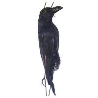 2021นกปลอมสมจริงแขวน Dead Crow ล่อ Lifesize ขนาดใหญ่พิเศษสีดำขนนก Crow Garden Bird PestDeterrent Repeller