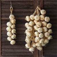 OKDEALS01 Hanging Faux Food 10Pcs/String Party Decor Artificial Garlic Onion Home Decor Photography Props Simulation Vegetables