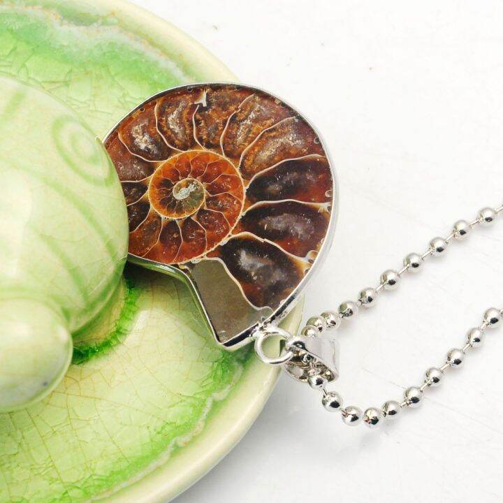 หินธรรมชาติ-ammonite-ฟอสซิลเปลือกหอยหอยทากจี้มหาสมุทรบรรเทาสังข์สัตว์สร้อยคองบผู้ชาย-ผนัง