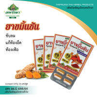 เทพรักษาสมุนไพรไทย ยาขมิ้นชันขับลม แก้ท้องอืด ท้องเฟ้อ (Thepruksa Thaiherbs)