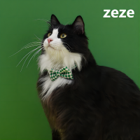 Zeze สัตว์เลี้ยงโบว์หูกระต่ายน่ารักแมวโบว์น่ารักชุดลายสก๊อตรูปถ่ายที่นิยมในโลกออนไลน์ปลอกคออุปกรณ์สำหรับสัตว์เลี้ยง