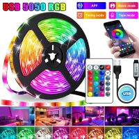 LED Strip Lights RGB 5050 Bluetooth USB SMD 5V RGB LED Lamp Ribbon Flexible Lights For Room Decoration TV BackLight Diode Tape