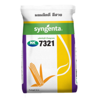 ข้าวโพดเลี้ยงสัตว์ เอ็นเค 7321(NK7321) ขนาดบรรจุ 10 กิโลกรัม ผลผลิตสูง ฝักใหญ่ แกนเล็ก  ฝักมีความสม่ำเสมอมาก ปลูกได้ทั้งข้าวโพดหน้าฝน