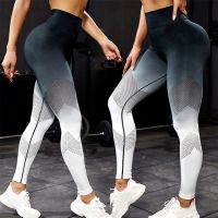 【YD】 New Gradient Mesh Leggings Hollow Waist Butt Lift Pants Push Up Gym Pant Workout