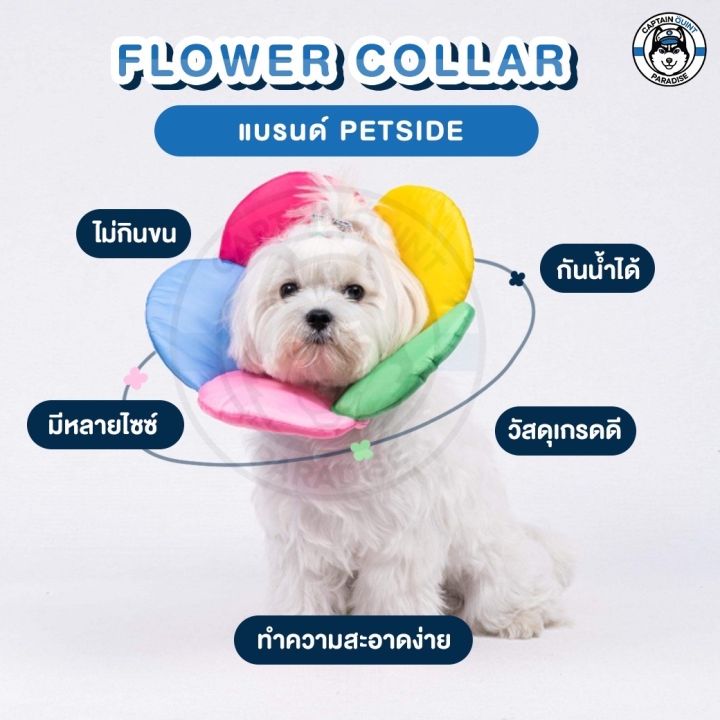 petside-soft-collar-flower-cone